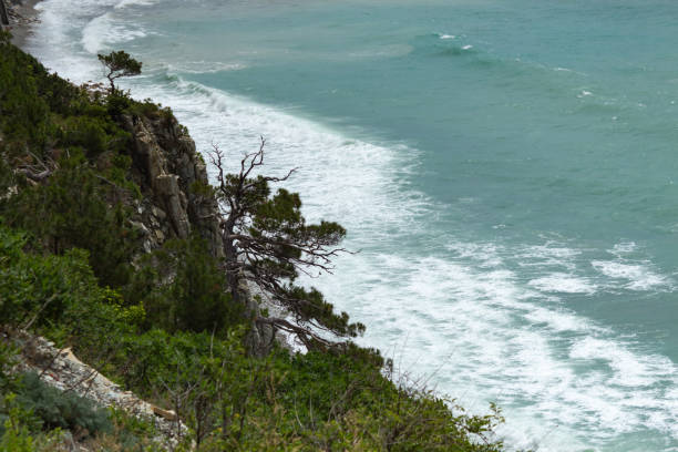 istock Steep shore of azure sea with trees 1278650302