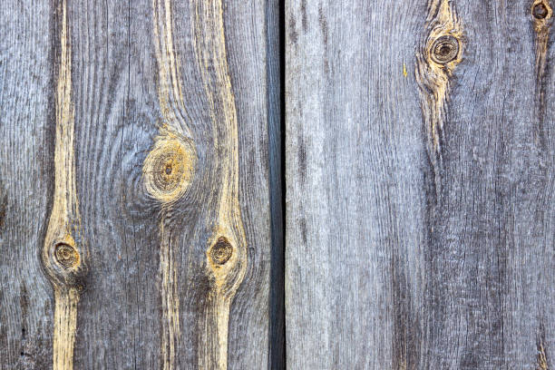 istock Gray rough gnarled old boards. Old boards that have darkened with age 1278650316