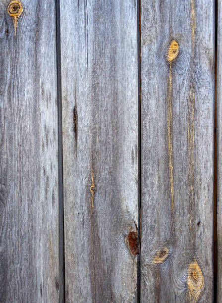 istock Gray rough gnarled old boards. Raw old boards that have darkened with age 1278650772