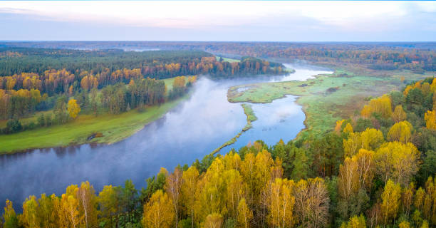 istock Autumn forest and river aerial drone view 1278650840