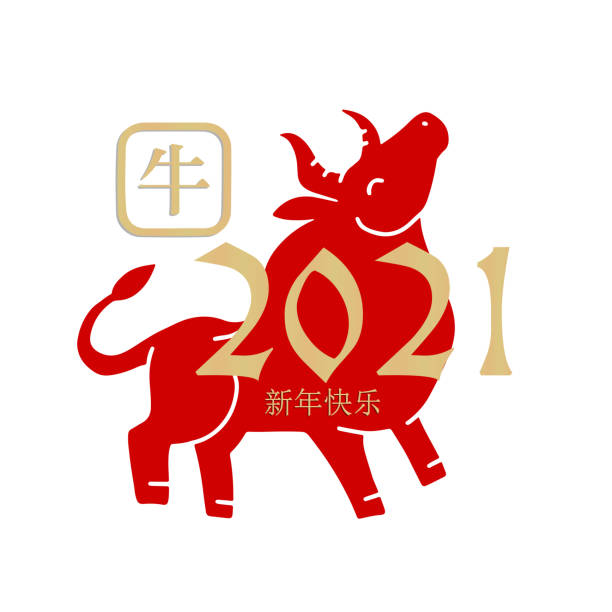 ilustrações de stock, clip art, desenhos animados e ícones de happy chinese new 2021 year logo with big red bull silhouette and golden numbe. vector flat colage illustration. chinese translation - happy chinese new year, ox. - fashion colage
