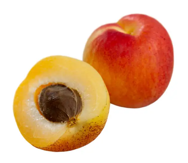 Photo of Apricots fruit. Vitamin fruits