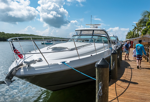 Luxury yachts by Miami marina on a sunny morning.