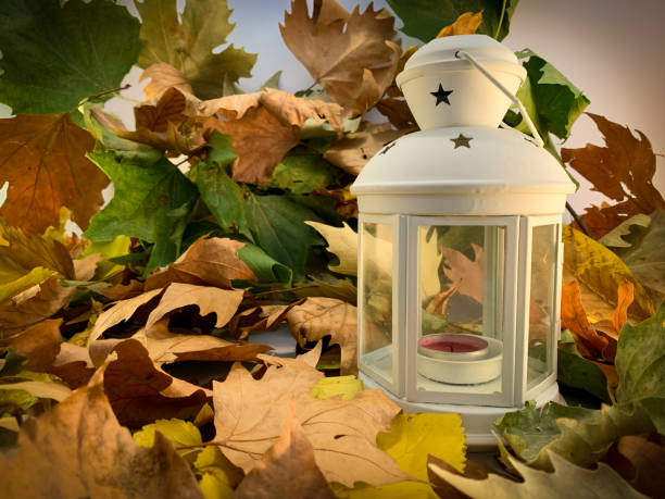 istock Close up white lantern on a autumn leaves background 1278657356