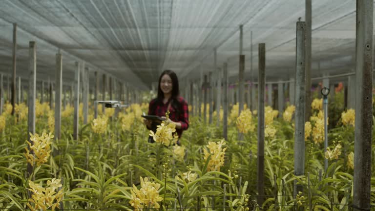 Woman gardener in orchids farm.