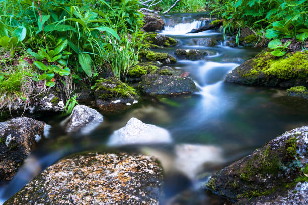 istock Taiga. Siberia. Mountain stream. Photograph with long shutter speed 1278659450