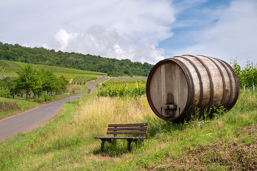 Vinyards and a bench in front of a big wooden barrel, Germany