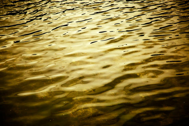 istock Golden water waves 1278664316