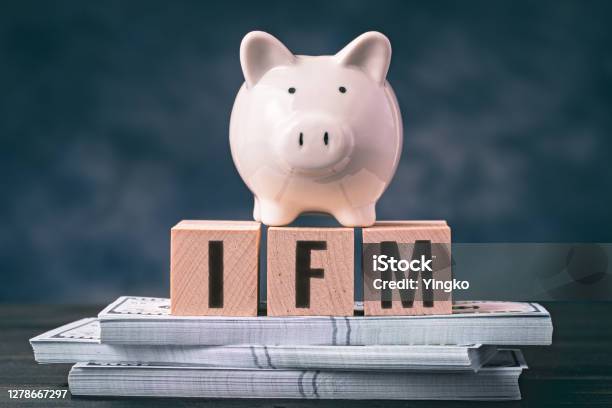 Piggy Bank With Ifm Stock Photo - Download Image Now - International Monetary Fund, Economy, Financial Loan