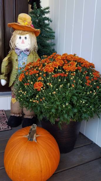 istock Straw Scarecrow and Other Autumn Decor 1278670158