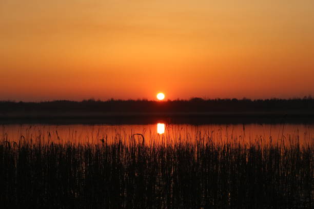 istock The orange sun sets in the forest beyond the lake. 1278673021