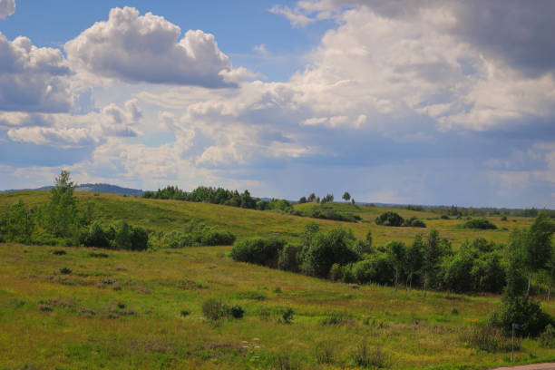 istock Fields with yellow-green grass against a bright blue sky with clouds. Hills in the distance. 1278673339