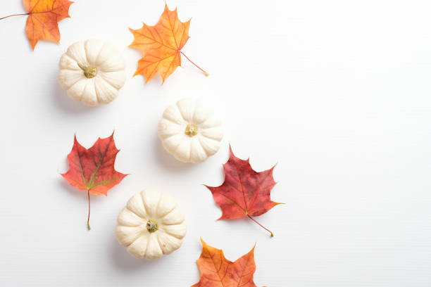 istock Minimalist style autumn composition. Dry maple leaves and pumpkins on white background. Flat lay, top view. Autumn fall, harvest, thanksgiving concept. 1278674066