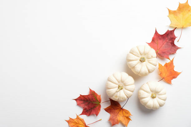 istock Creative composition of colorful maple leaves and pumpkins on white background. Autumn fall, thanksgiving, harvest concept. Flat lay, top view. 1278674079