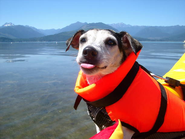 istock 