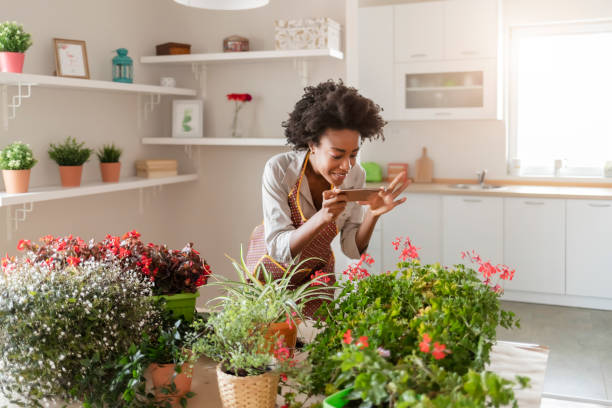istock Updating my social media 1278679081