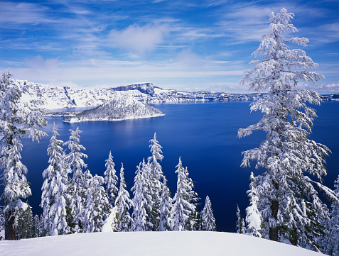 EAVY SNOW LAIDENED EVERGREEN TREES ON THE RIM OF CRATER LAKE NP OREGON