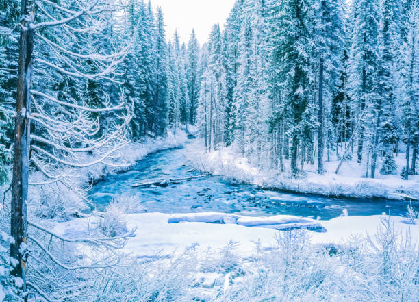 istock Oregon Winter Forest With the Rogue River 1278679820