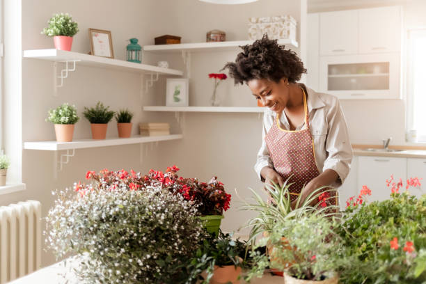 istock The demand for houseplants is booming 1278680064