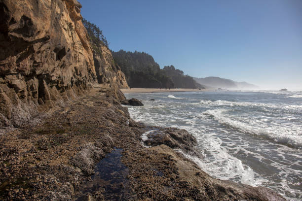istock Hug point nature area in Oregon 1278680771