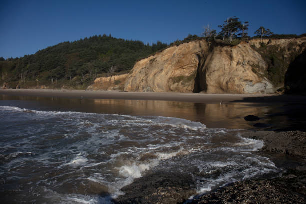 istock Hug point nature area in Oregon 1278680944