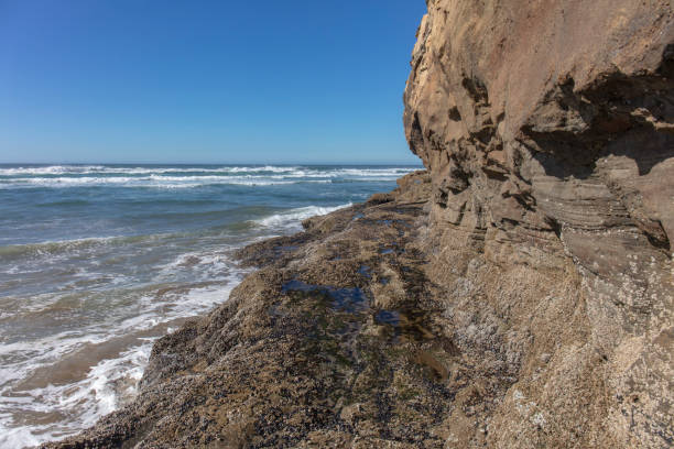 Hug point nature area in Oregon