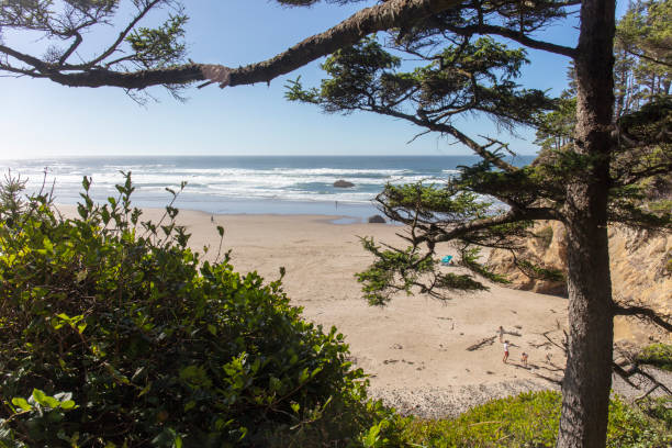 istock Hug point nature area in Oregon 1278681060