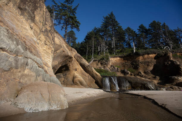 istock Hug point nature area in Oregon 1278681714