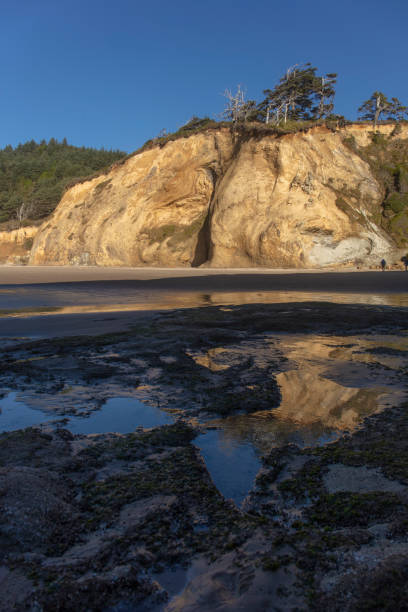 istock Hug point nature area in Oregon 1278681784