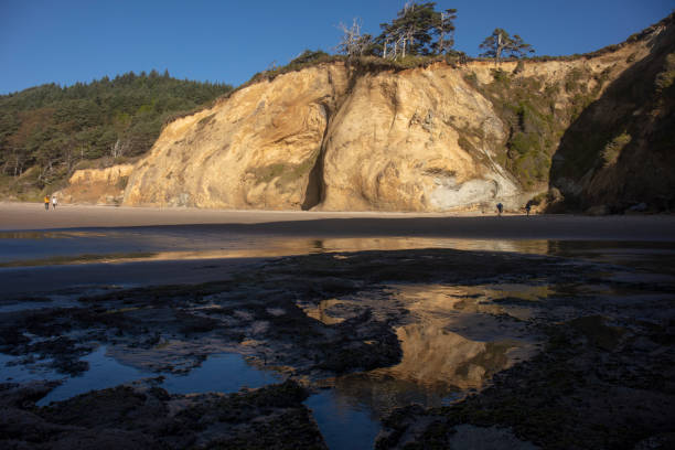 istock Hug point nature area in Oregon 1278681811