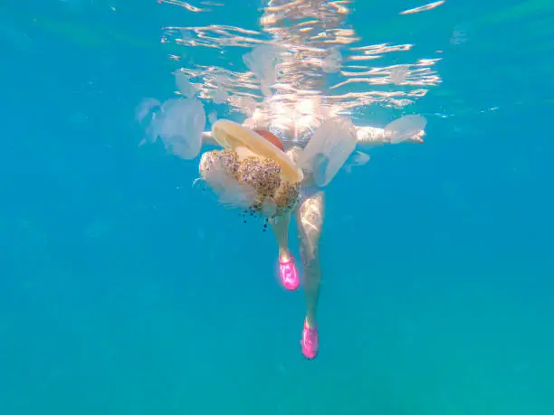 Colored ribbed jellyfish comes dangerously close to a swimmer in the mediterranean sea