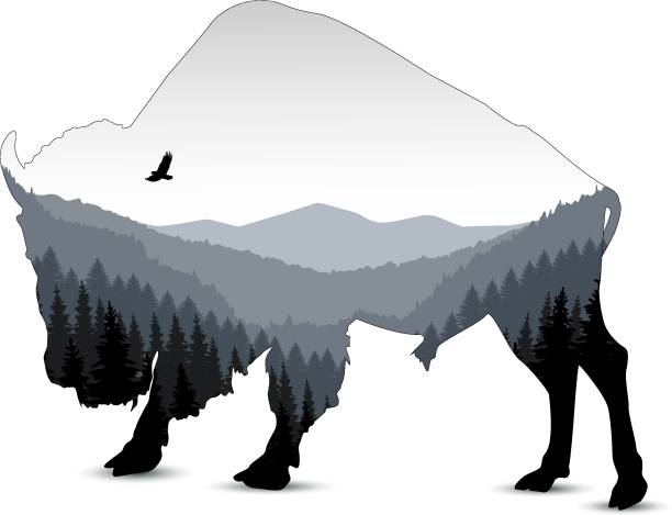 Silhouette of bull Silhouette of bull with panorama of mountains. Valley(canyon). Three peaks. bull pine stock illustrations