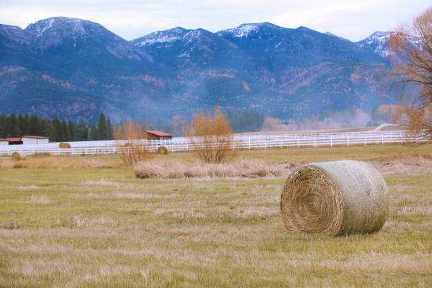 istock Rural Pasture Landscape With Haystacks 1278684846