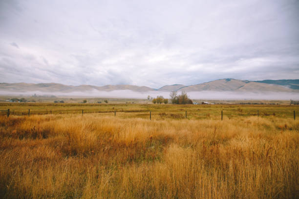 istock Montana in Autumn 1278684856