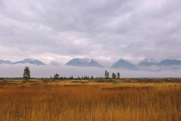 istock Montana in Autumn 1278684887
