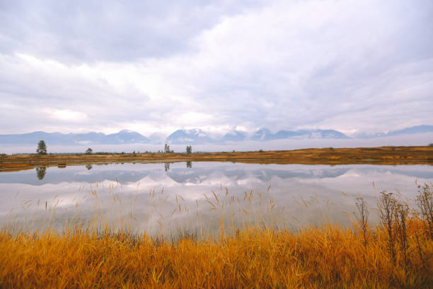 istock Montana in Autumn 1278684901