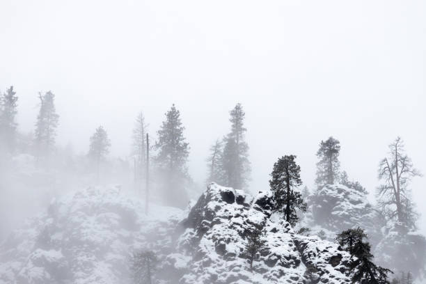 istock Snow-Covered Rocky Cliffs and Trees on Mountain in Winter with Fog 1278686842