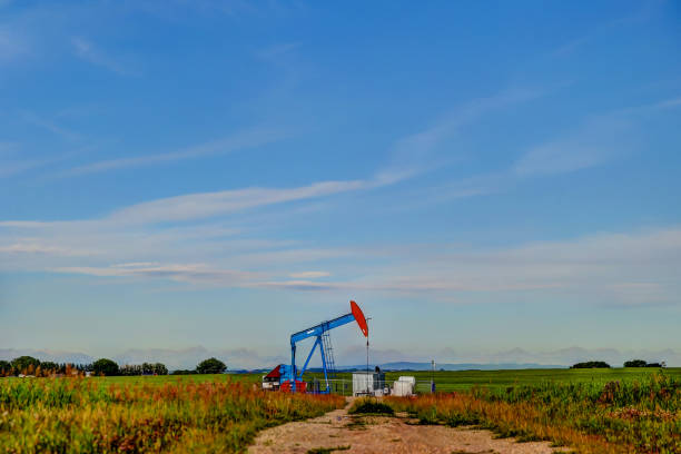 이른 아침에 캘거리 앨버타 외곽의 시골 시골에서 외로운 오일 데릭 - oil pump oil alberta canola 뉴스 사진 이미지