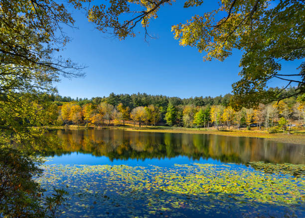 istock Beautiful autumn landscape. 1278688344