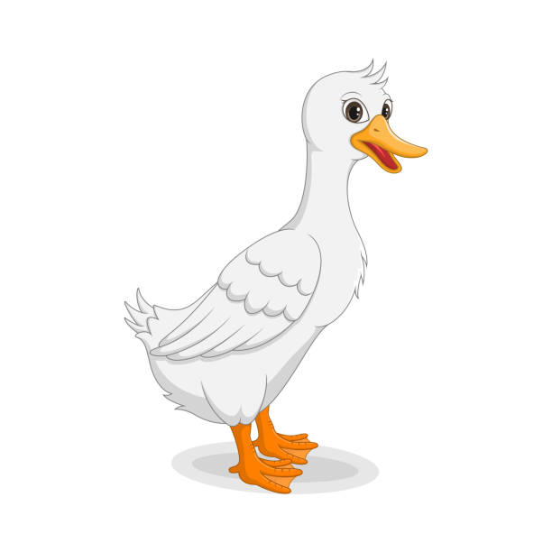 Cartoon Funny Goose Isolated On White Background Stock Illustration -  Download Image Now - Duck - Bird, Duck Meat, Foot - iStock