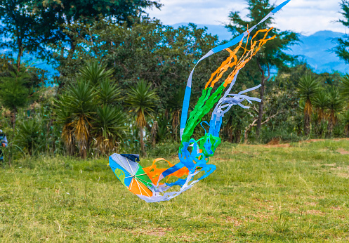 Traditional Guatemalan kites