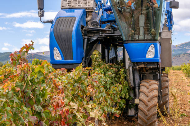 istock machine for harvesting large vineyards 1278693912