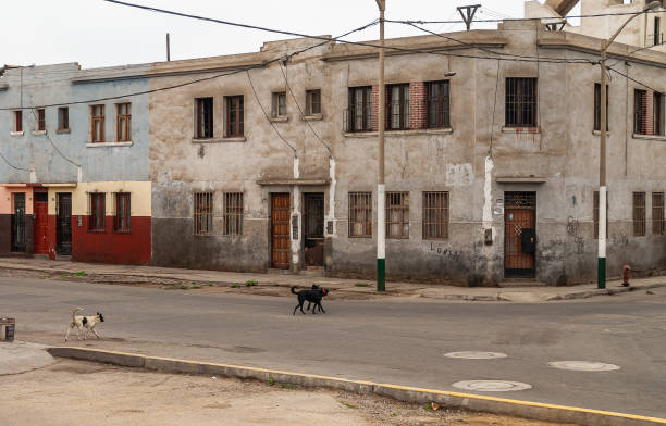 istock Simple housing and stray dogs in Lima, Peru. 1278696559