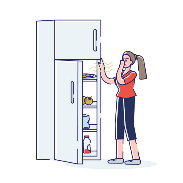 Woman opening fridge with spoiled smelly food covering nose to protect from stink Woman opening fridge with spoiled smelly food covering nose to protect from stink. Bad smell from refrigerator in kitchen concept. Linear vector illustration close to illustrations stock illustrations