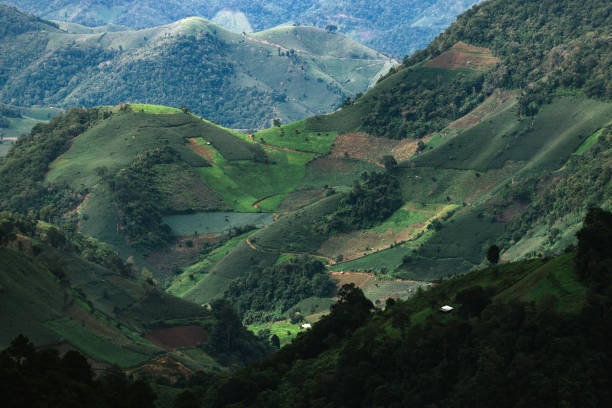 istock Terraced rice field Northern Thailand. 1278700010