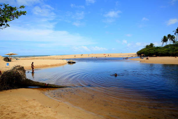 mata de sao joao, bahia / brazil - september 23, 2020: view of the river Imbassai near the mouth in the district and Imbassai, on the coast of the city of Mata de Sao Joao.\