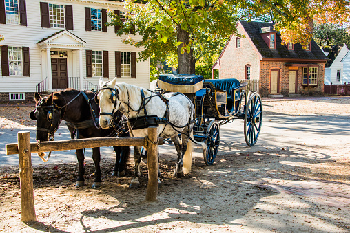 Horse and Carriage in Williamsburg, Virginia.
