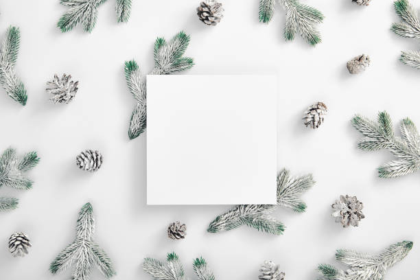 istock Evergreen tree branch with snow and pine cones. Horizontal composition, flat lay, top view. Snow forest creative minimal layout. White paper blank 1278705056
