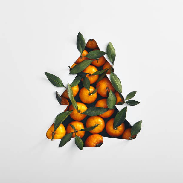 Christmas tree with tangerine and green leaf