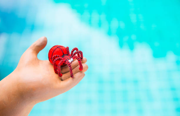 istock Red yarn spider in clay hand over blurred blue water background 1278711210